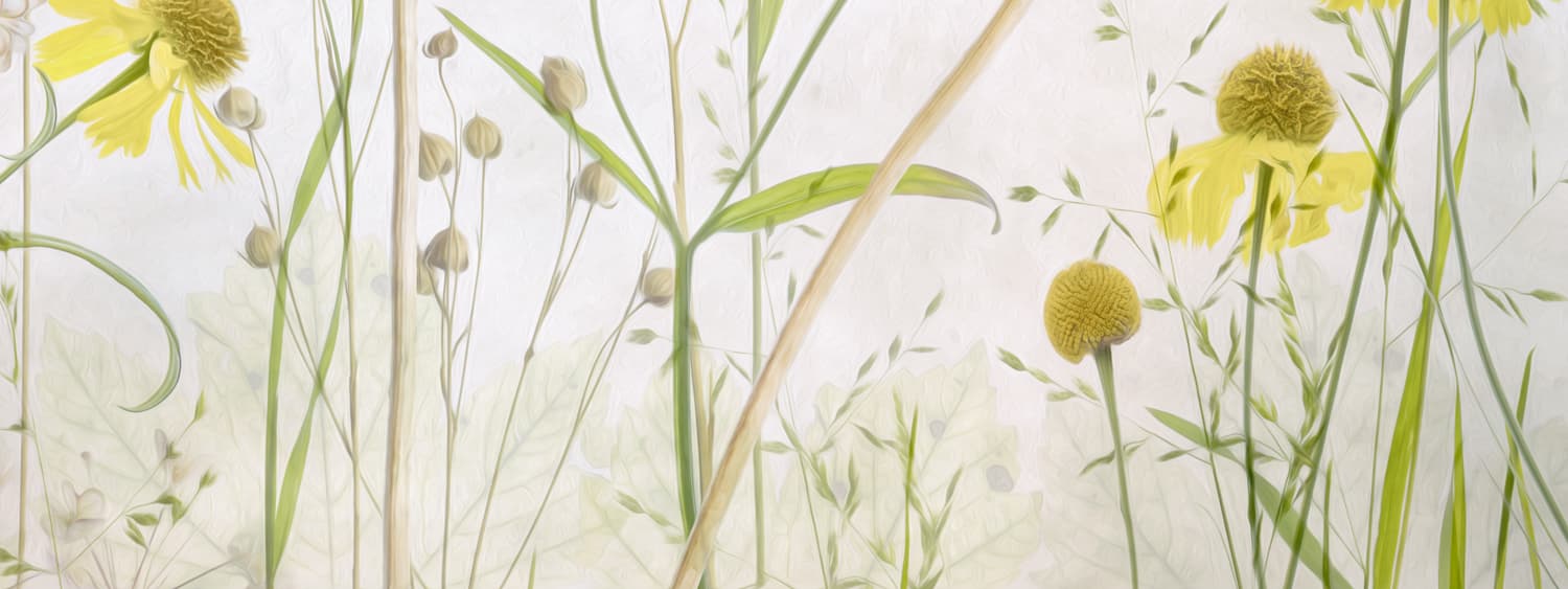 Mandy Disher