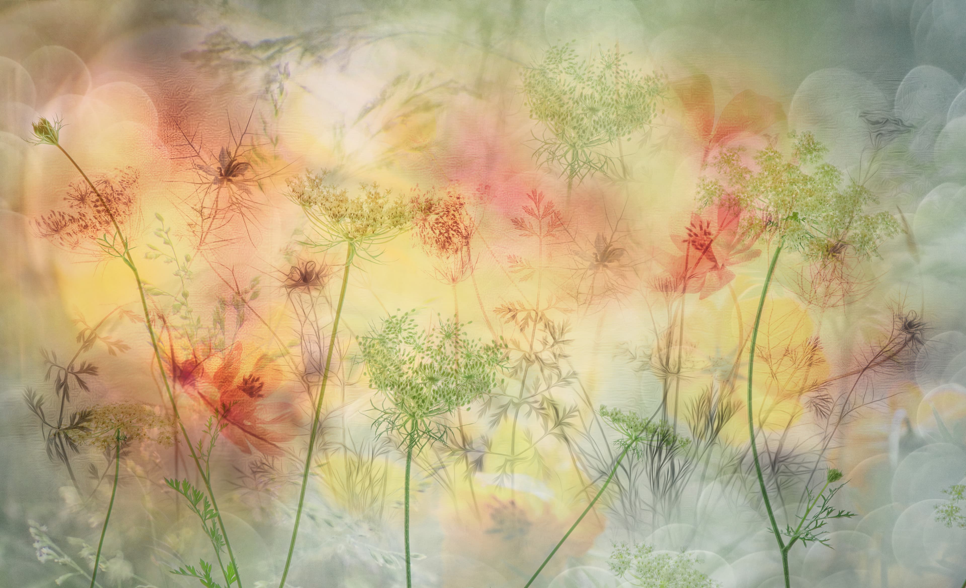 Dreamscape Blooms