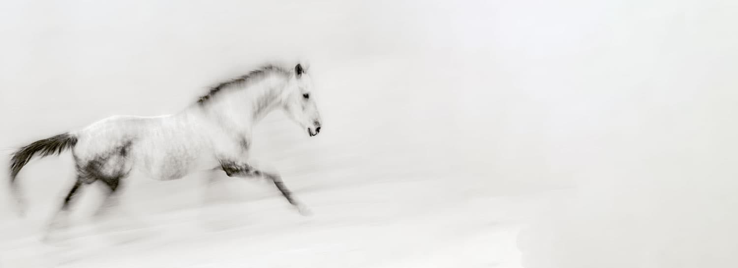 Horse and Heritage