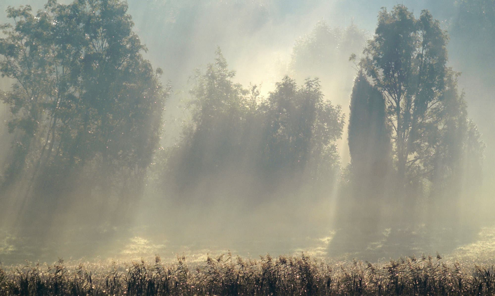Landscape Photography