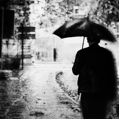 Adam Dauria ☂