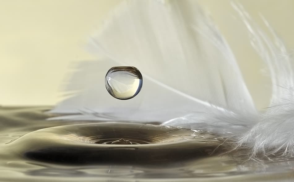 Serene Water Feather by Heidi Westum — canvas wall art
