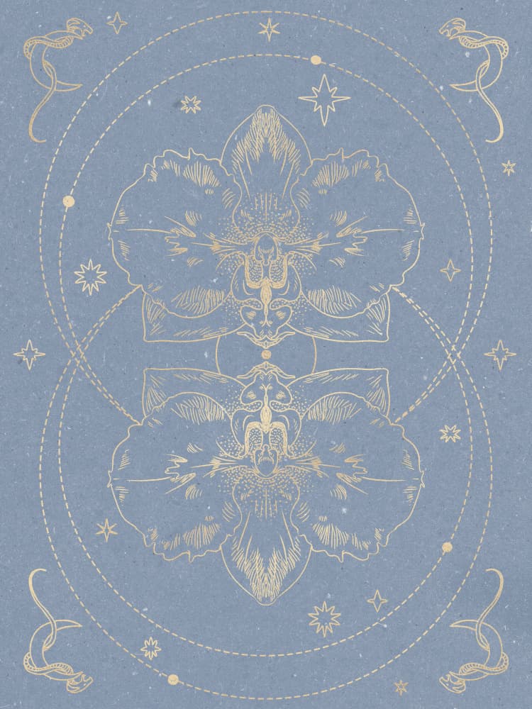 The mystical orchid by NKTN — canvas wall art