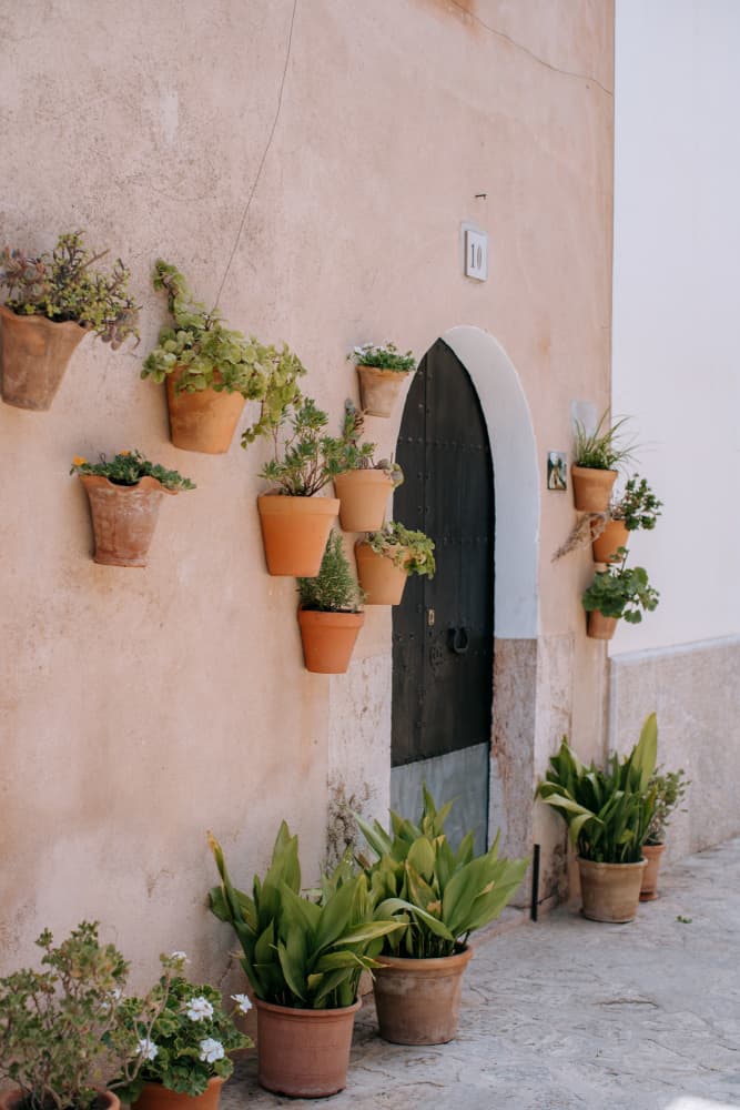 Charming Potted Plants Door by Claudia Casal — canvas wall art