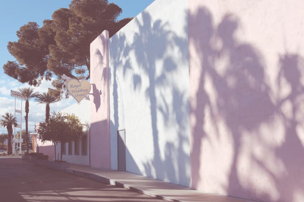 Pink Wall Palm Shadows by Old Artists Studio III — canvas wall art