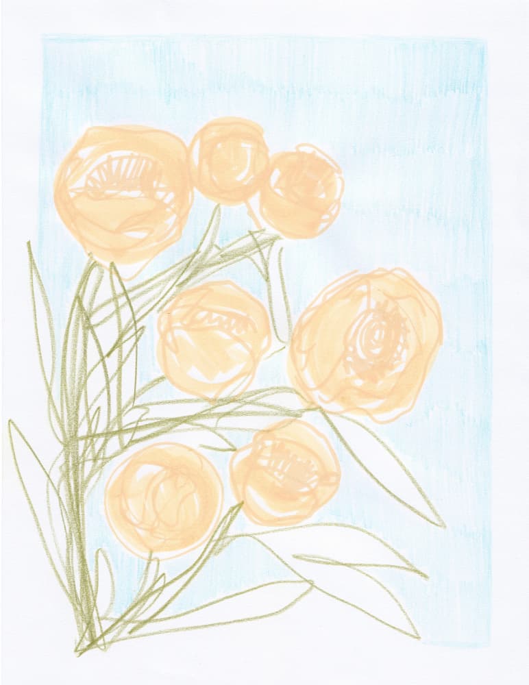 Gentle Orange Blooms by Carola Cedell — canvas wall art