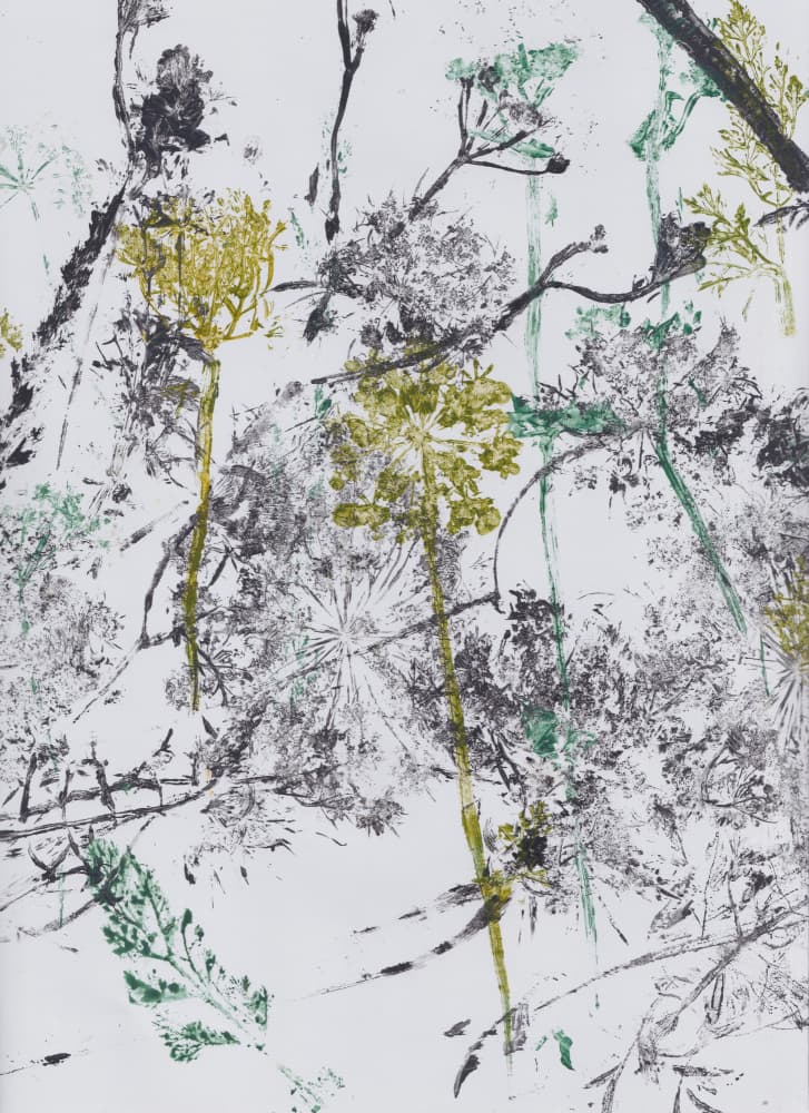 Wild Botanical Prints by Maira Ribena — canvas wall art