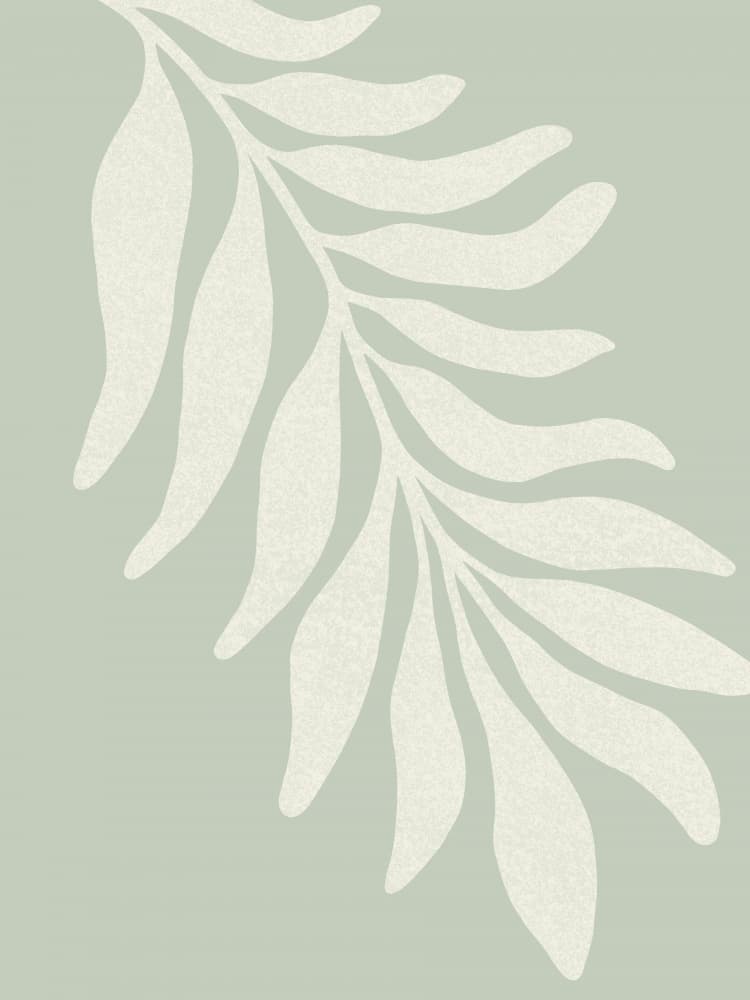 Soft Botanical Leaf by Krisztina Jung — canvas wall art