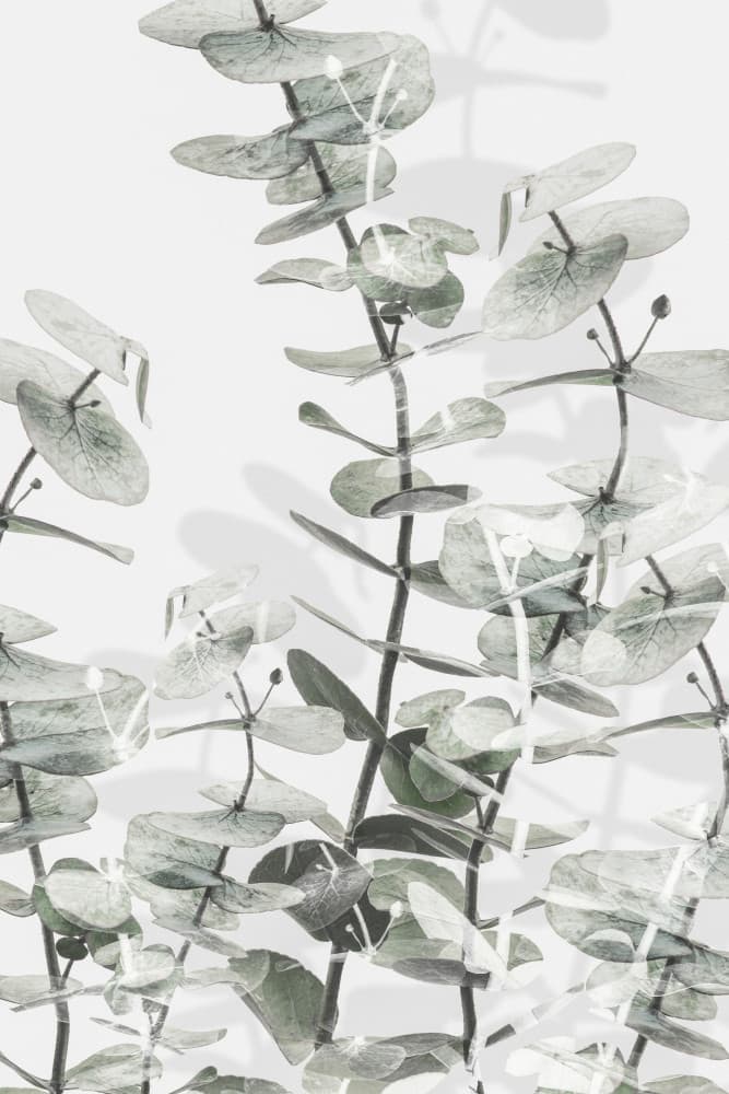 Soft Eucalyptus Layers by Old Artists Studio III — canvas wall art