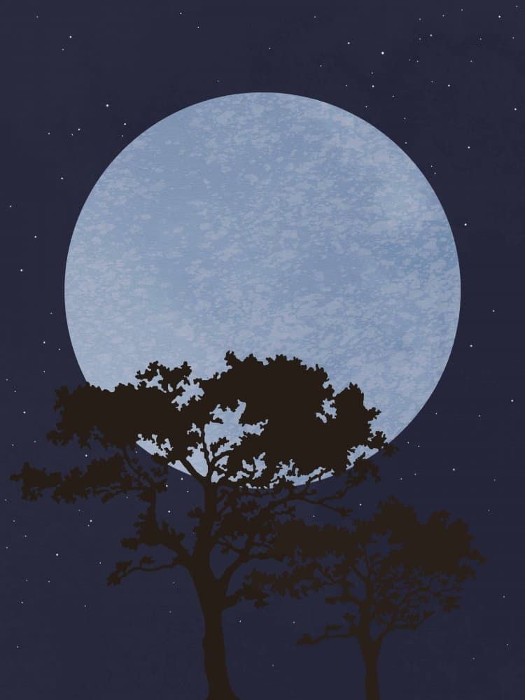 Moonlit Night Trees by Old Artists Studio II — canvas wall art