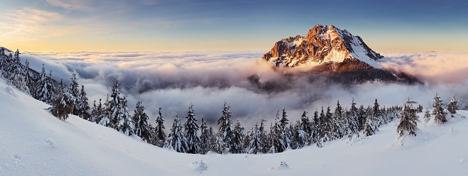 Golden Mountain Above Clouds by Tomas Sereda — canvas wall art