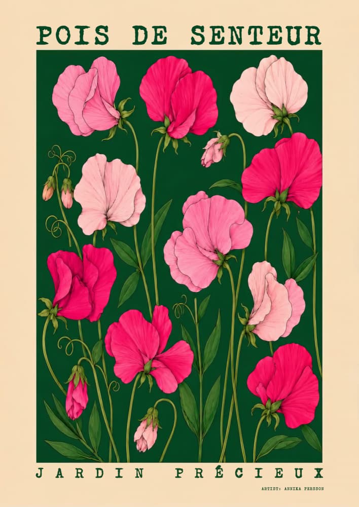 Sweet Pea Garden by Annika Persson — canvas wall art