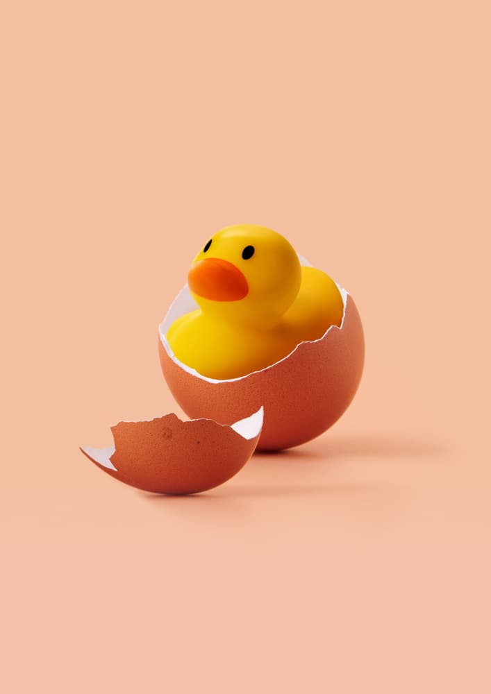 Hatched Rubber Duck by Artem Pozdniakov — canvas wall art
