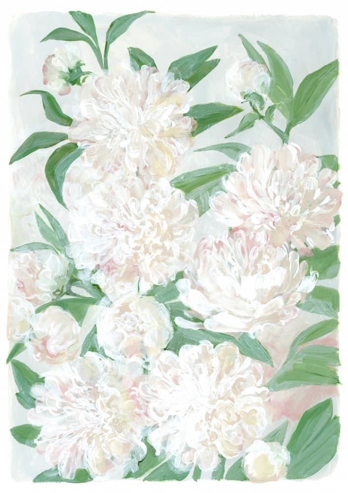 Soft Peony Blooms by Rosana Laiz Blursbyai — canvas wall art