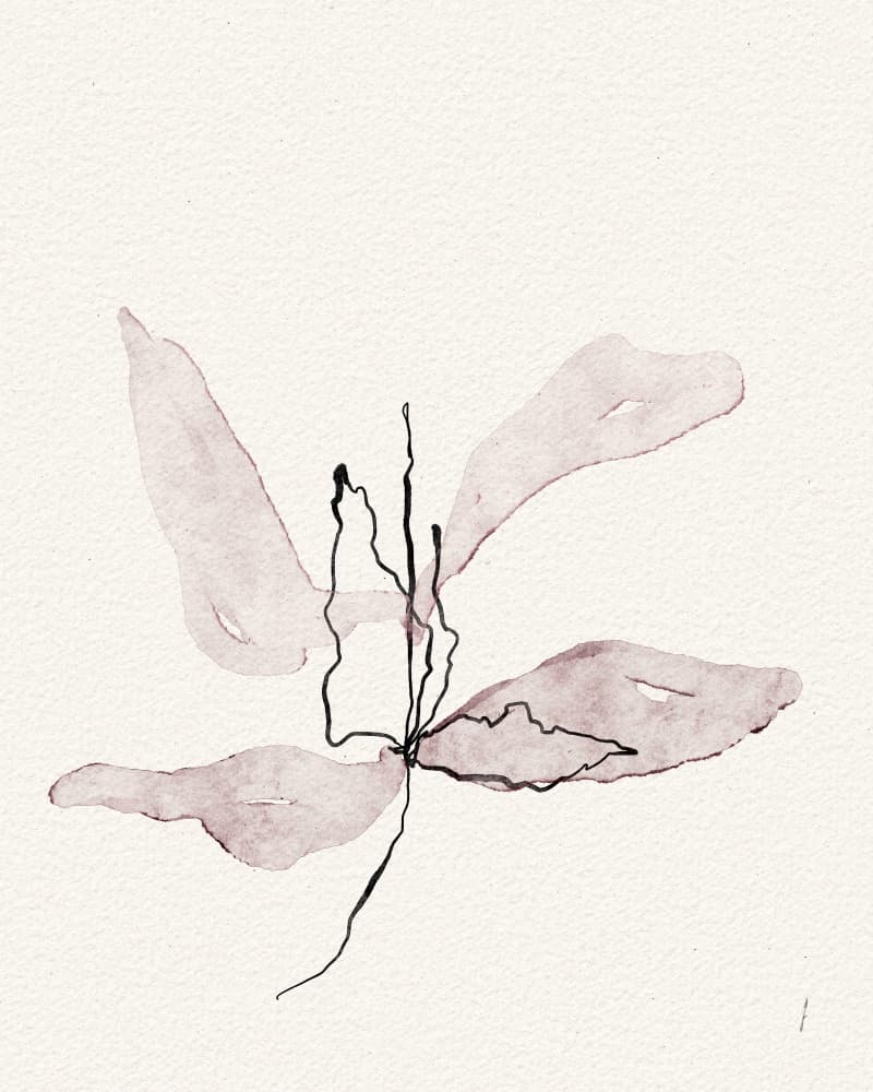 Delicate Botanical Bloom by Ankie Kooi — canvas wall art