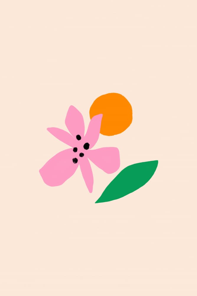 Pink Bloom Sunshine by Maren Gross — canvas wall art