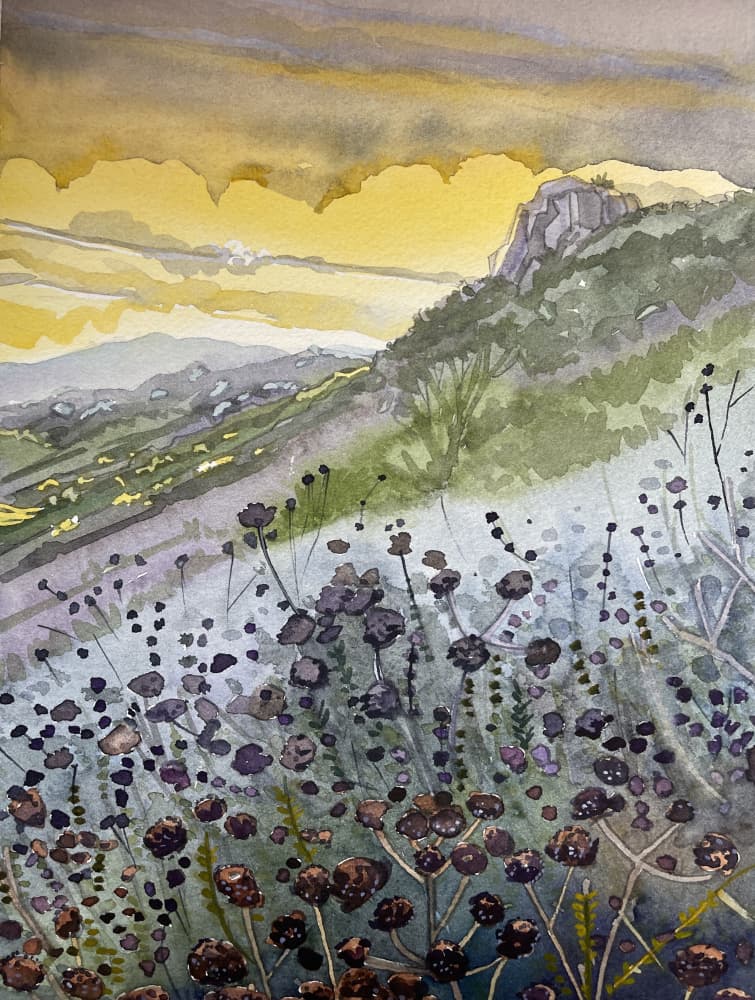 Mountain Sunset Wildflowers by Luisa Millicent — canvas wall art