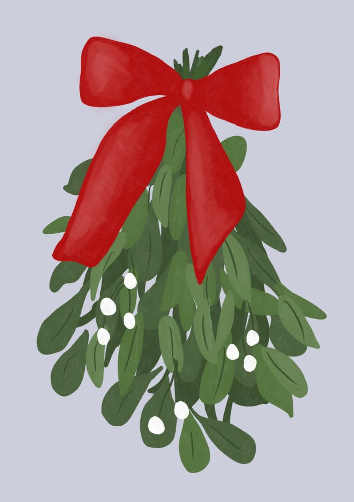 Festive Mistletoe Charm by Athene Fritsch — canvas wall art