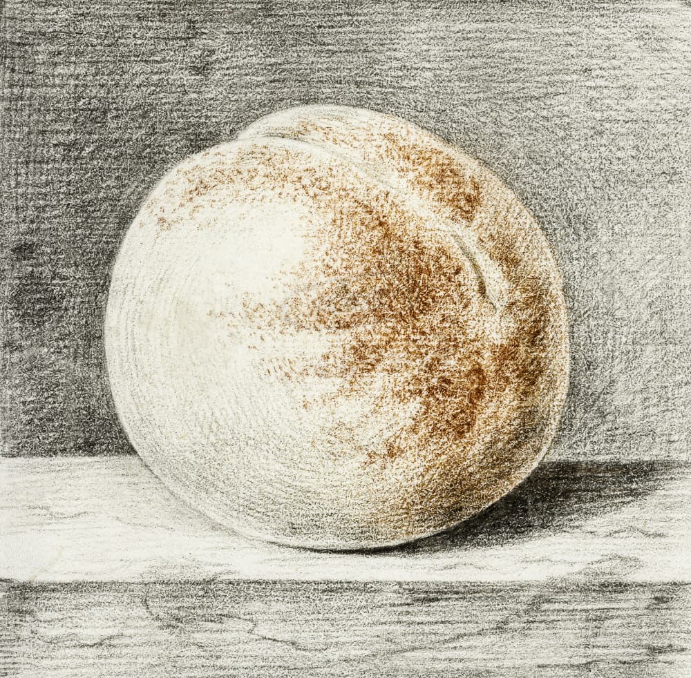 Peach by Jean Bernard — canvas wall art