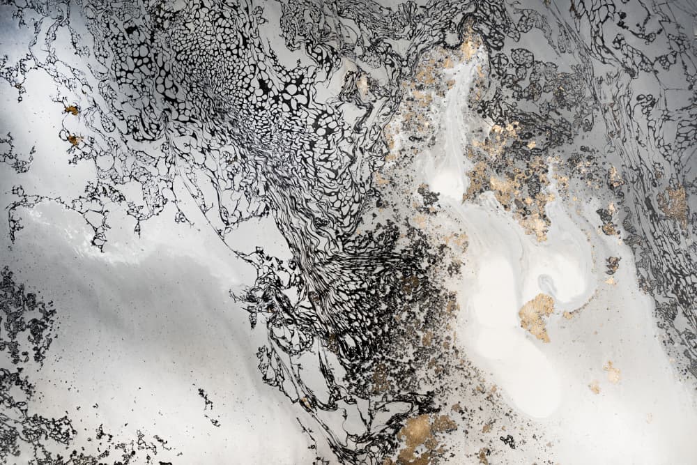 Neutral Tones - Delicate by Petra Meikle de Vlas — canvas wall art