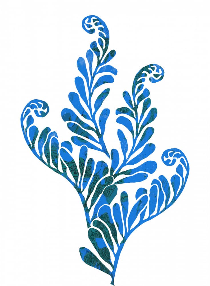 Swirling Blue Ferns by Melissa McKeagney — canvas wall art