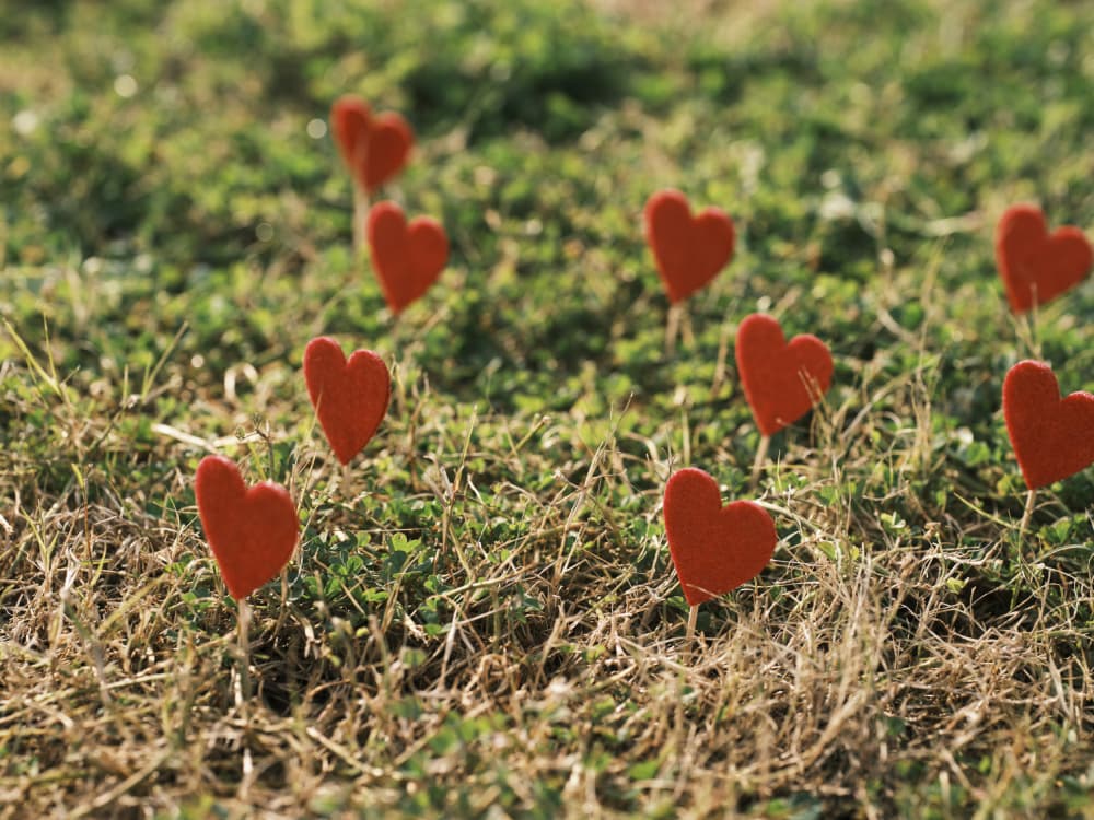 Love Heart Garden by engin akyurt — canvas wall art