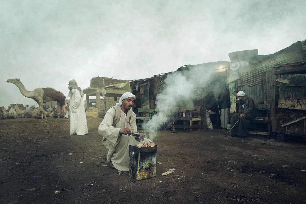 Traditional Camel Market by Mohamed Fawzy Kutp — canvas wall art