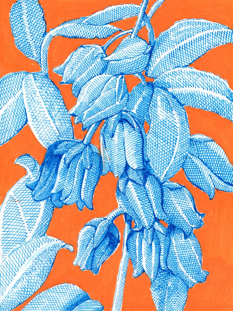 Vibrant Blue Botanicals by Katie O'Shea — canvas wall art