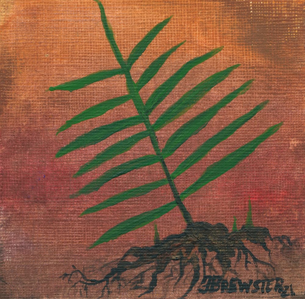 Green Fern Roots by Janine Brewster — canvas wall art