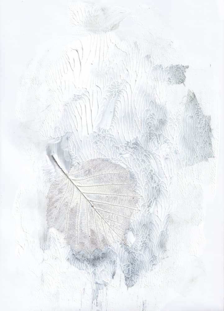 Subtle Botanical Impression by Maira Ribena — canvas wall art
