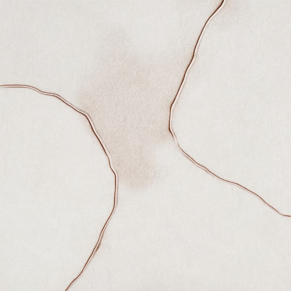 Soft Fluid Forms by Alma — canvas wall art