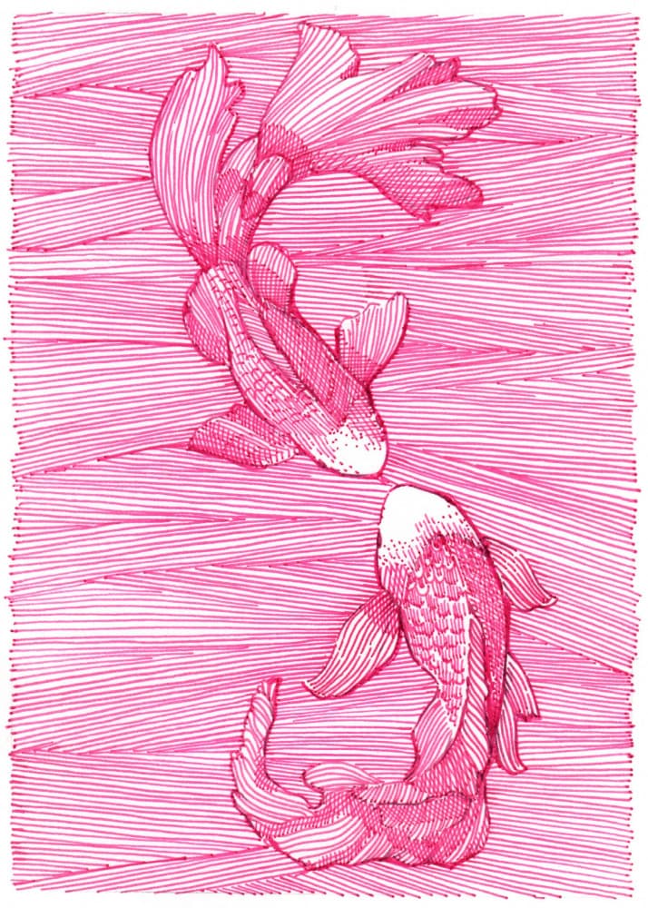 Pink Koi Dance by Katie O'Shea — canvas wall art