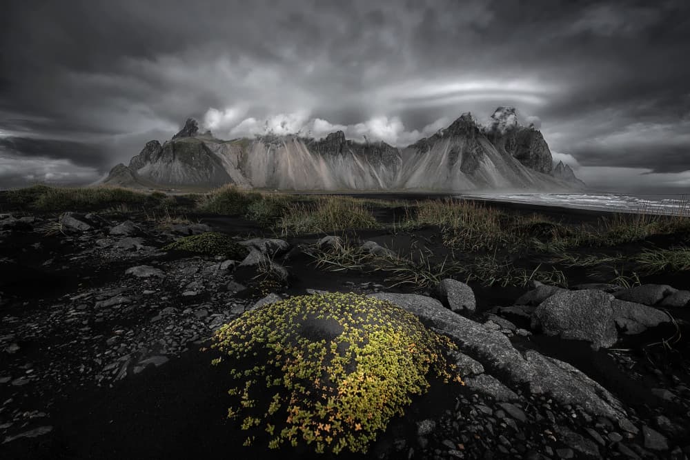 Green in Black Beach by Mei Xu — canvas wall art