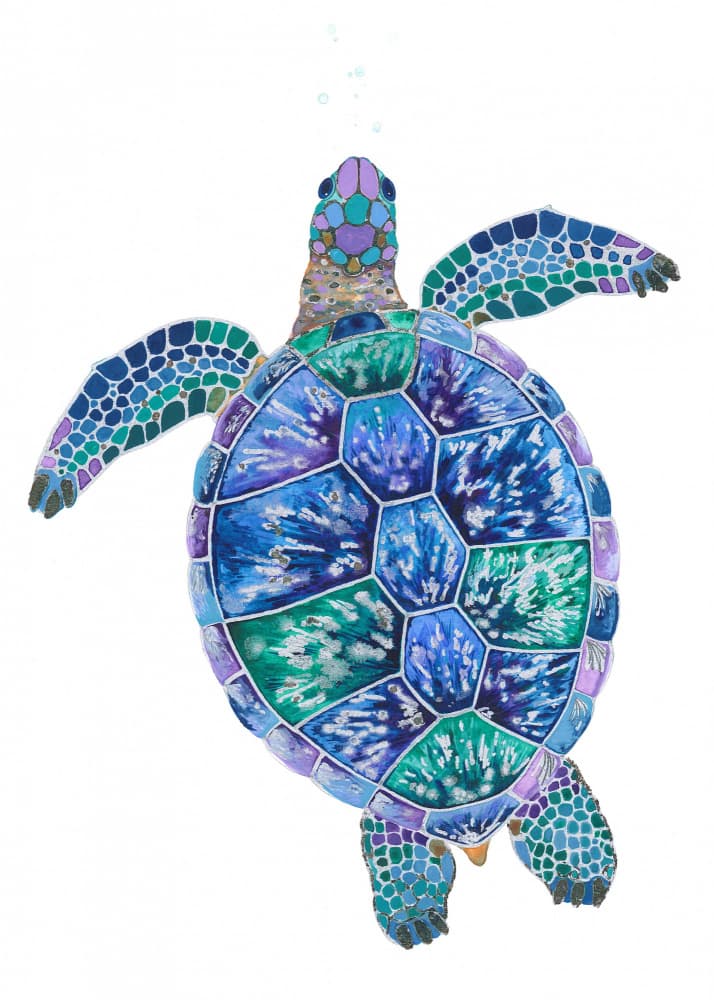 Turtle's Dreamscape by Isabelle Brent — canvas wall art