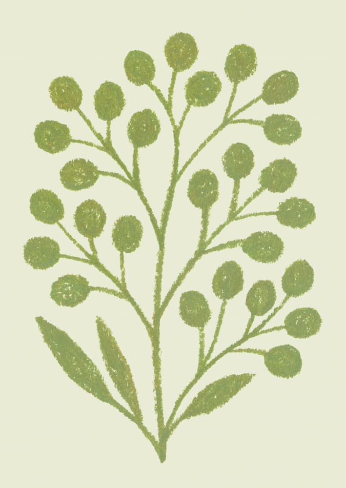 Green Botanical Branch by Silvia Visscher — canvas wall art