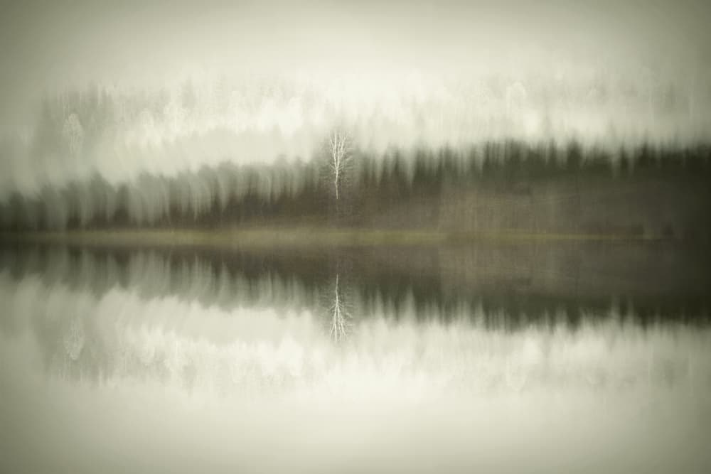Solitary Birch Lake by Christina Sillen — canvas wall art