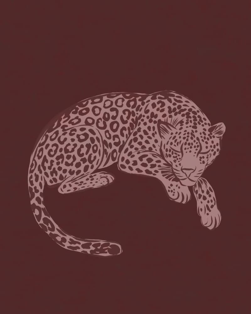 Peaceful Leopard Slumber by Josie George — canvas wall art