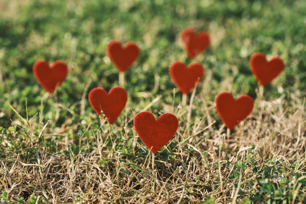 Sweet Hearts in Grass by engin akyurt — canvas wall art