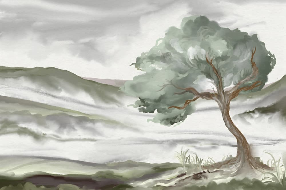 Misty Hillside Tree by Josie George — canvas wall art