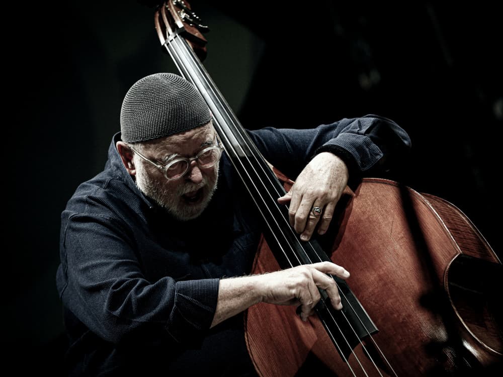 Expressive Jazz Bassist by Dragoslav Nedici — canvas wall art