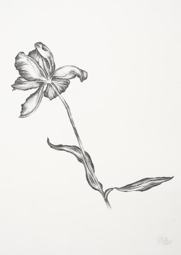 Elegant Floral Drawing by Mette Rix — canvas wall art