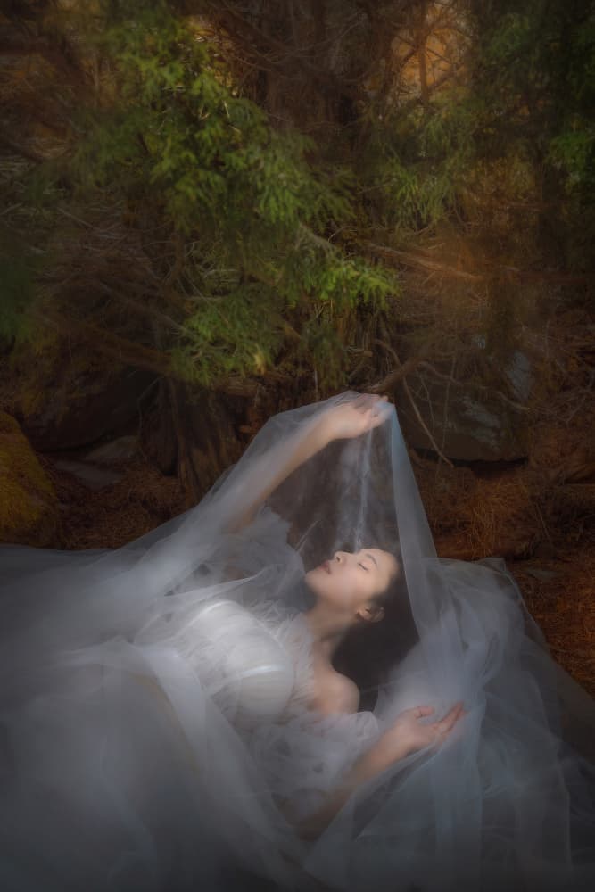 Ethereal Forest Sleep by 吴子诚WuZiCheng — canvas wall art