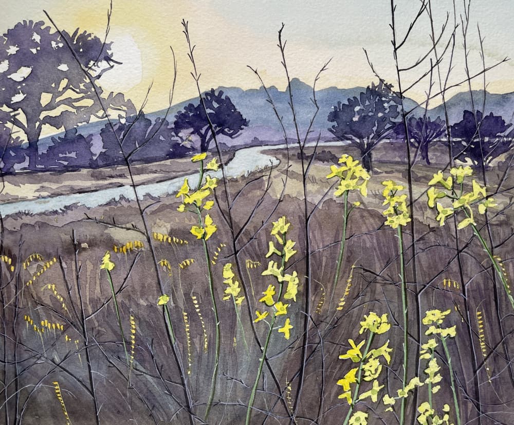 Golden Hour Blooms by Luisa Millicent — canvas wall art