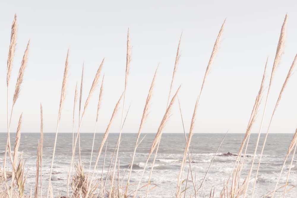 Coastal Grass Ocean View by Old Artists Studio III — canvas wall art