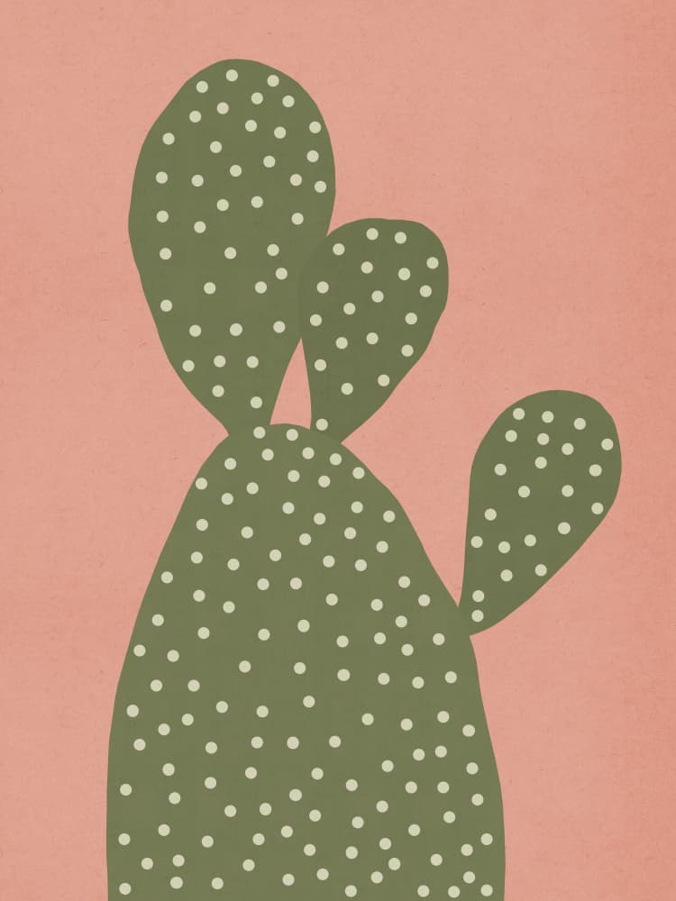 Modern Pink Cactus by Vitor Costa — canvas wall art