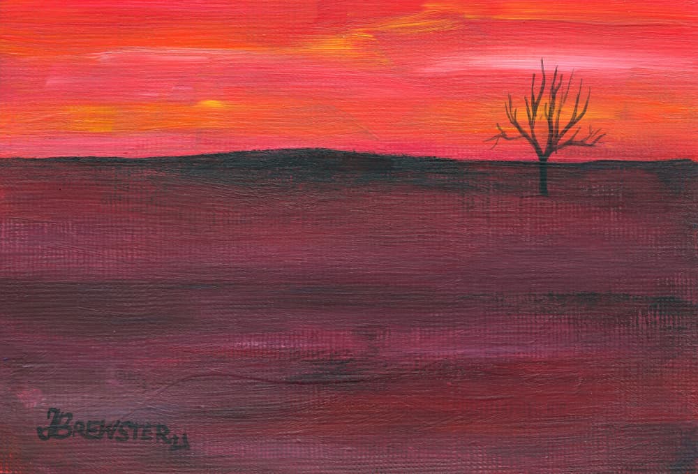 Solitary Sunset Tree by Janine Brewster — canvas wall art