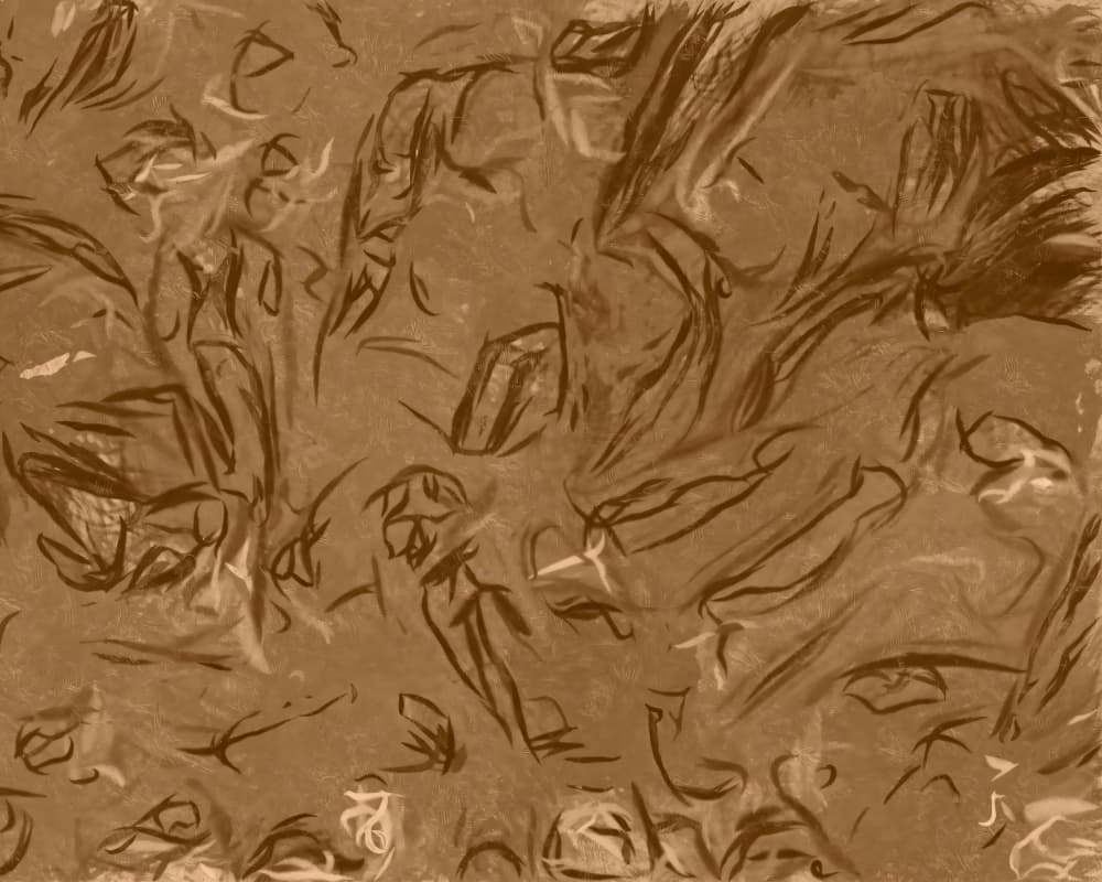 Sepia Flowing Forms by Uma Gokhale — canvas wall art