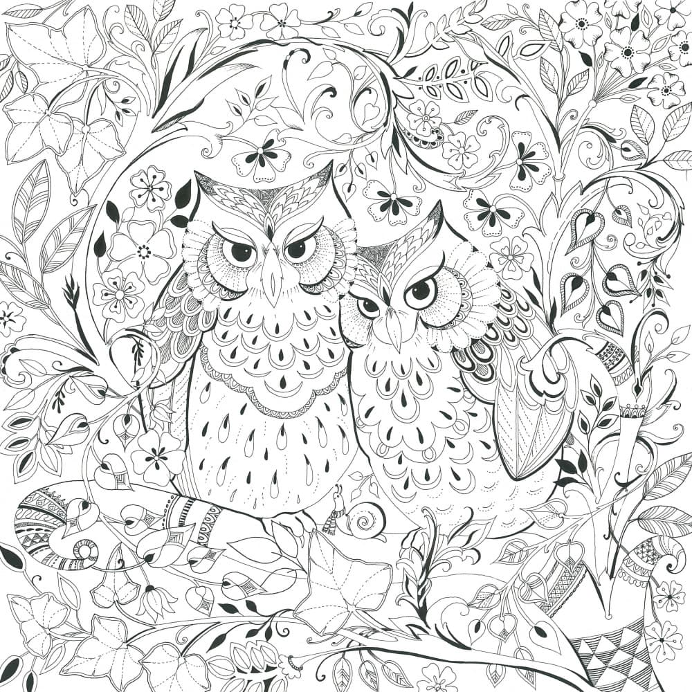 Whimsical Owls' Haven by Isabelle Brent — canvas wall art