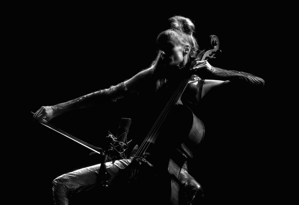 Dramatic Cello Performance by Dragoslav Nedici — canvas wall art