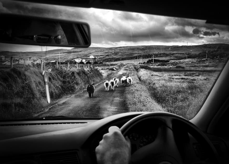 Moody Rural Drive by Richard Bires — canvas wall art